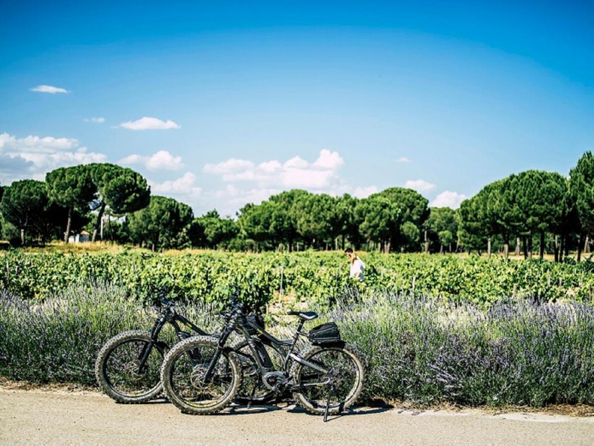 Abadia Retuerta Ledomaine Hotel Sardón de Duero Kültér fotó