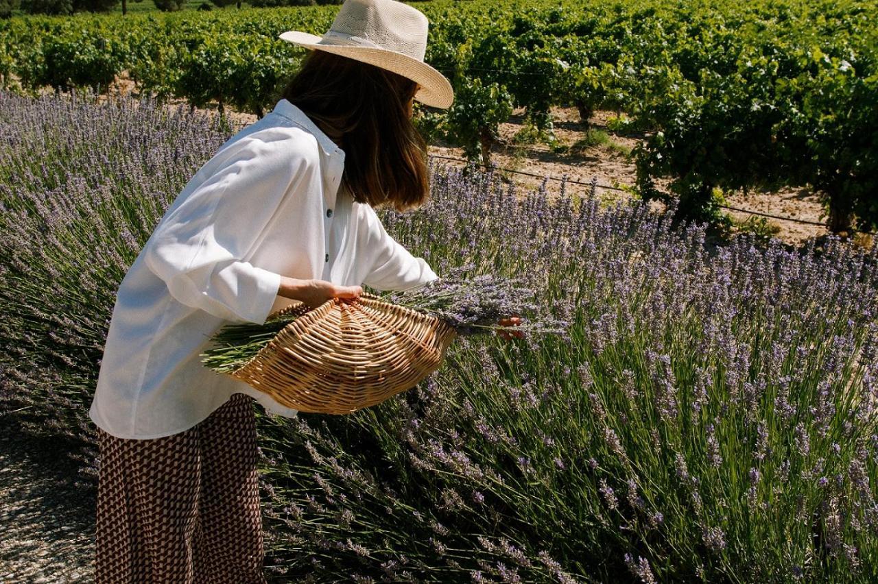 Abadia Retuerta Ledomaine Hotel Sardón de Duero Kültér fotó